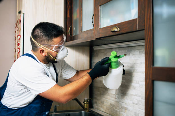 Best Exterminator Services  in Temelec, CA