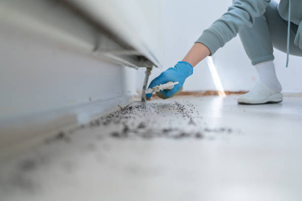 Best Best Pest Control Companies  in Temelec, CA